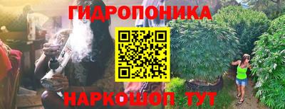 бошки Волгодонск