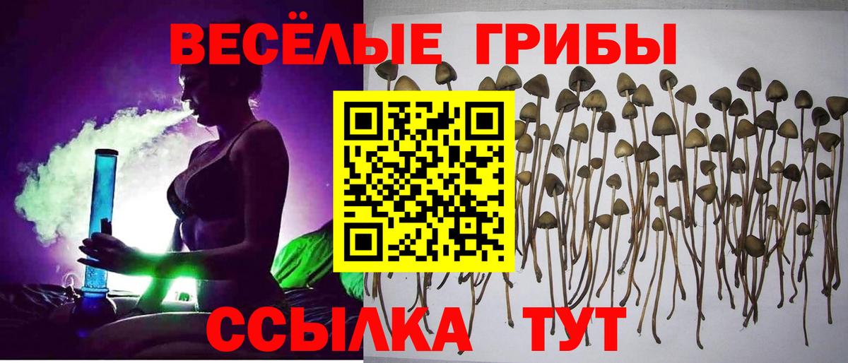 Галлюциногенные грибы MAGIC MUSHROOMS Ефремов