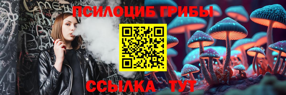 Псилоцибиновые грибы Cubensis  Ефремов 