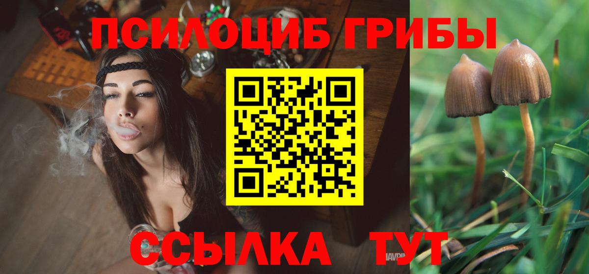 Галлюциногенные грибы Cubensis  Вход с VPN  Ефремов 