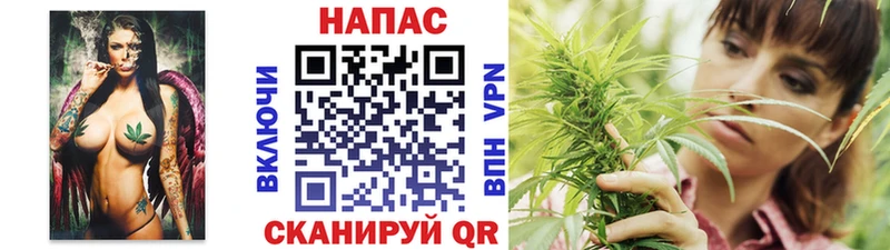 omg ТОР  Ефремов  Конопля план 